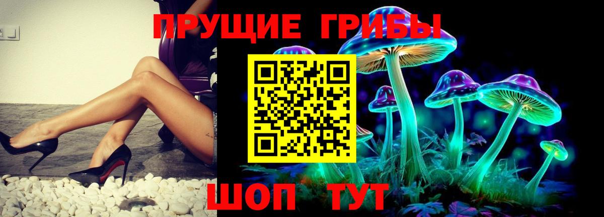 Галлюциногенные грибы Psilocybe  Галлюциногенные грибы Magic Shrooms  Вход с VPN  закладки  Боровичи 